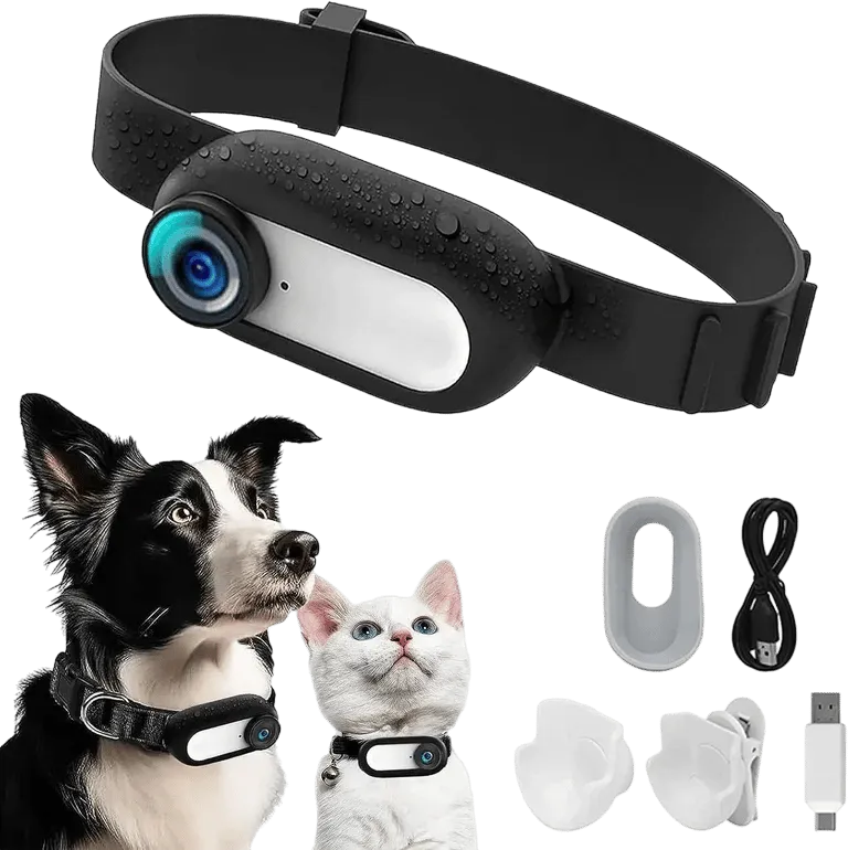 1080P Pet Collar HD Camera Wireless Mini Body Cam – AuraOfTech